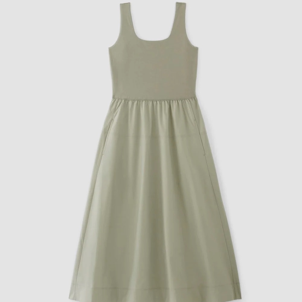 Everlane Dress